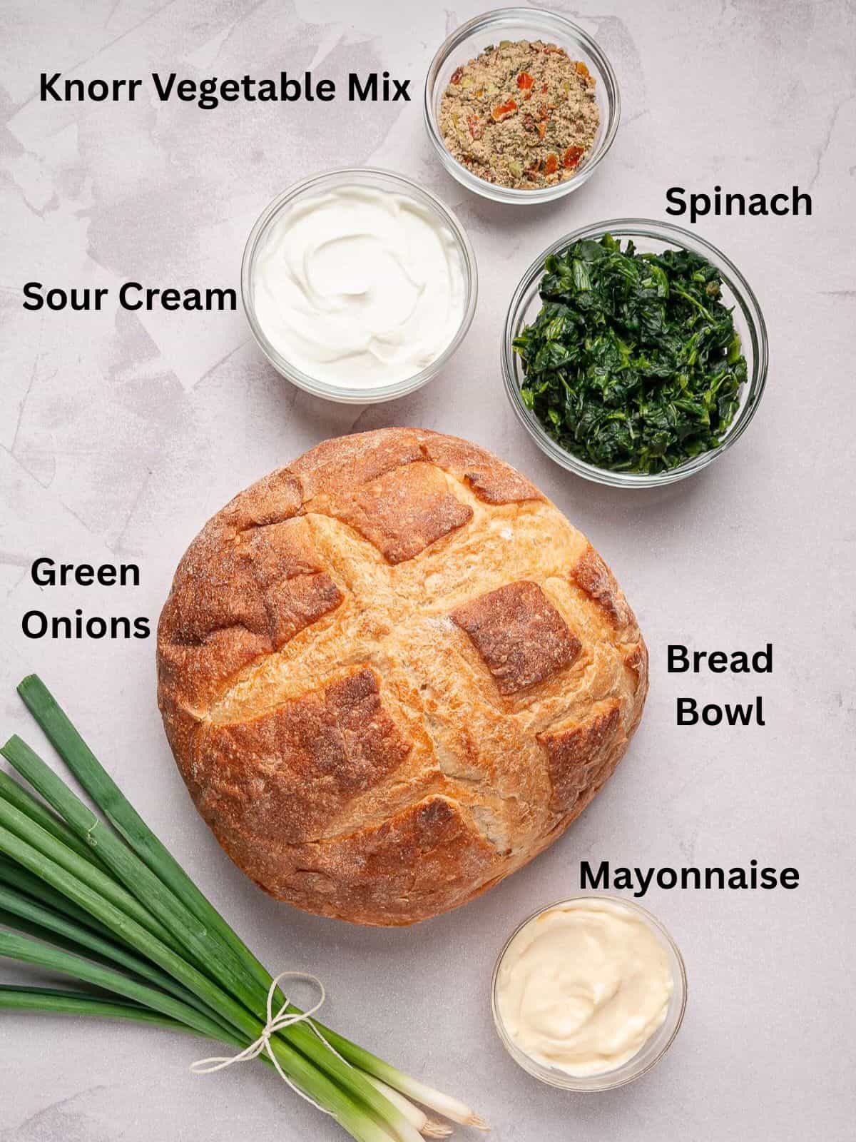 Ingredients needed to make Knorr spinach dip recipe.